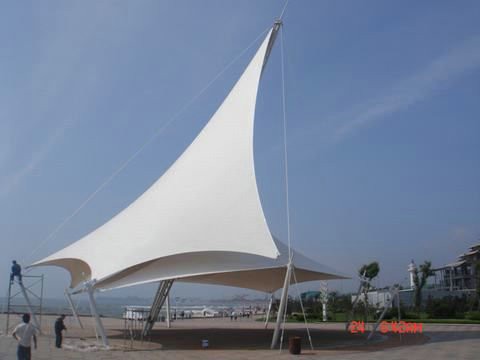 日照萬平口向日葵视频色板 