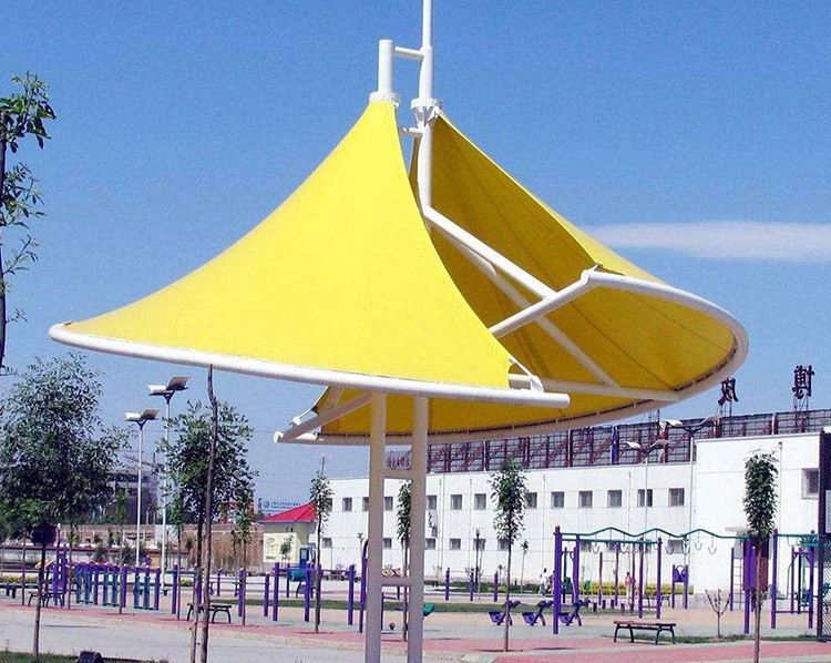 景觀向日葵视频色板